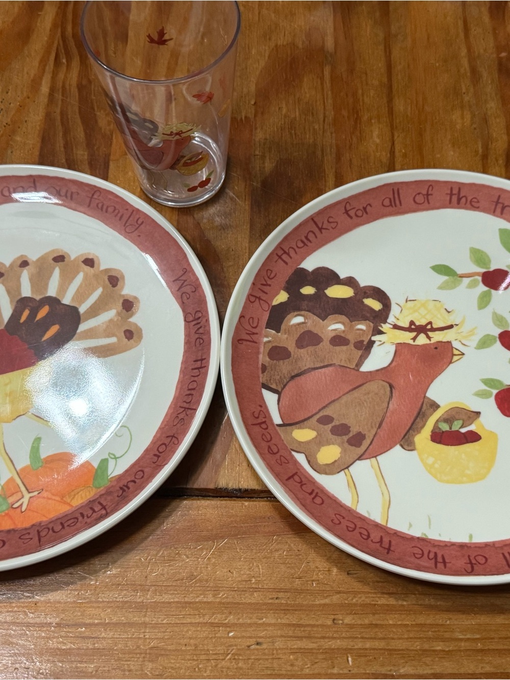 Pottery Barn Kids Turkey Thanksgiving Plates & Cups Rust & Cream - Set of 6